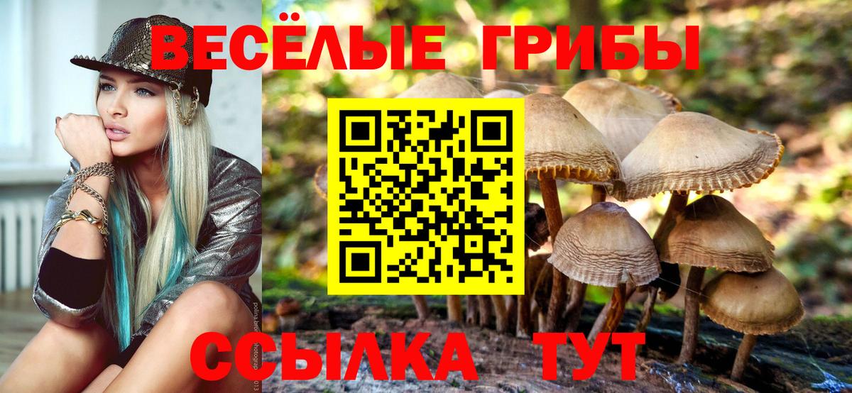Псилоцибиновые грибы Magic Shrooms  Вход с VPN  Бугульма 