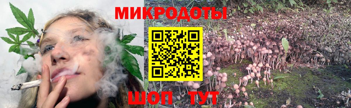 Галлюциногенные грибы ЛСД Бугульма